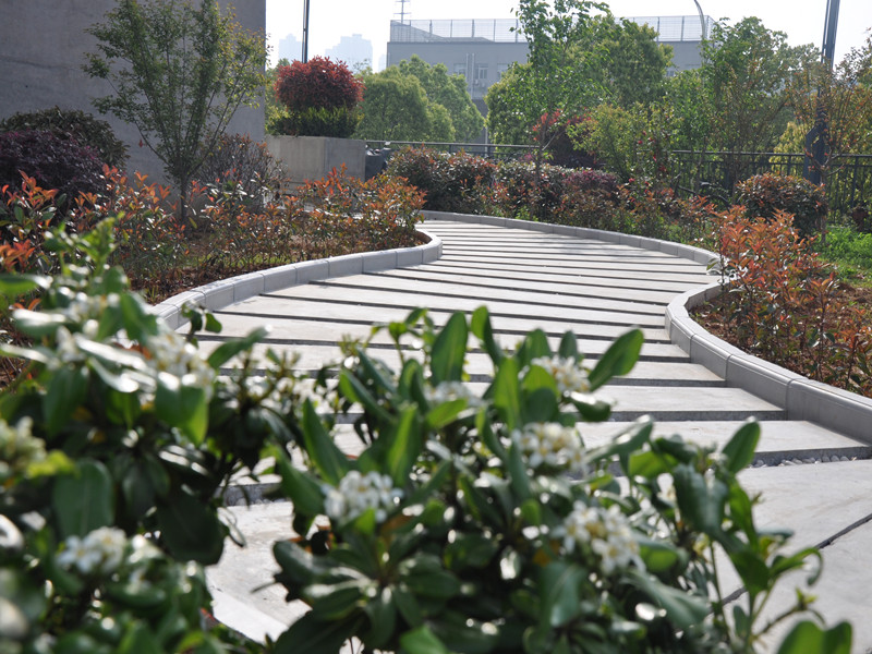 金莎国际网站官网 - welcome