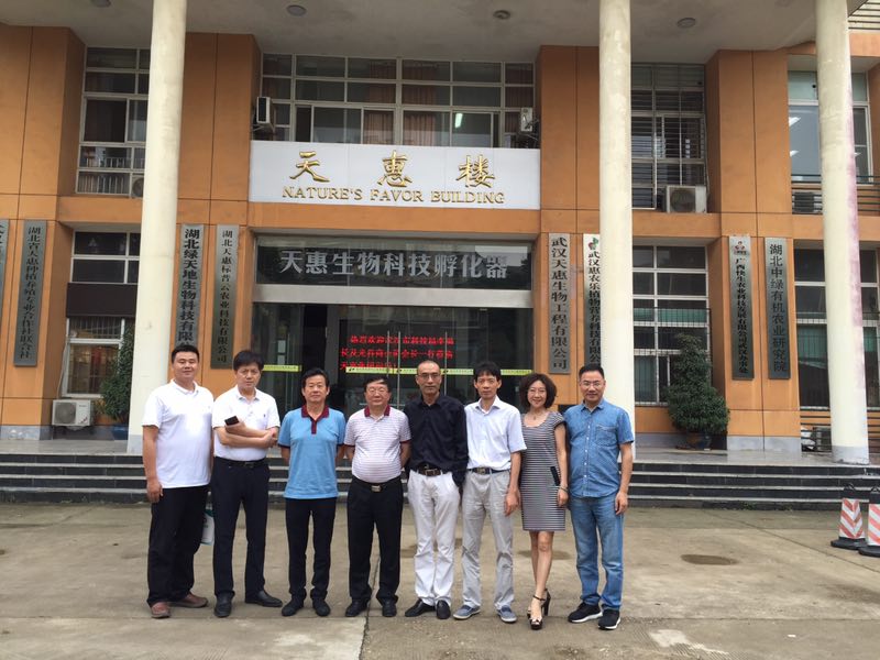 金莎国际网站官网 - welcome