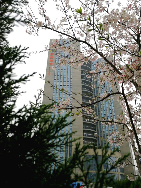 金莎国际网站官网 - welcome