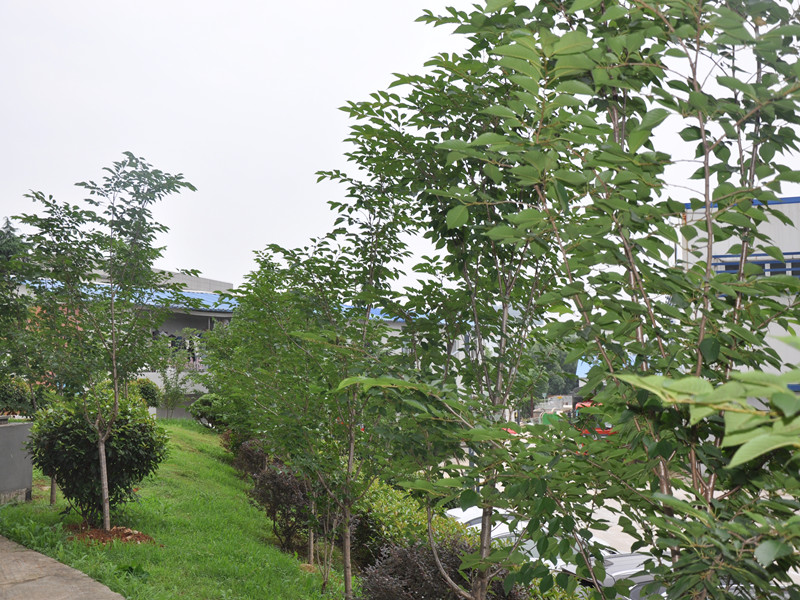 金莎国际网站官网 - welcome