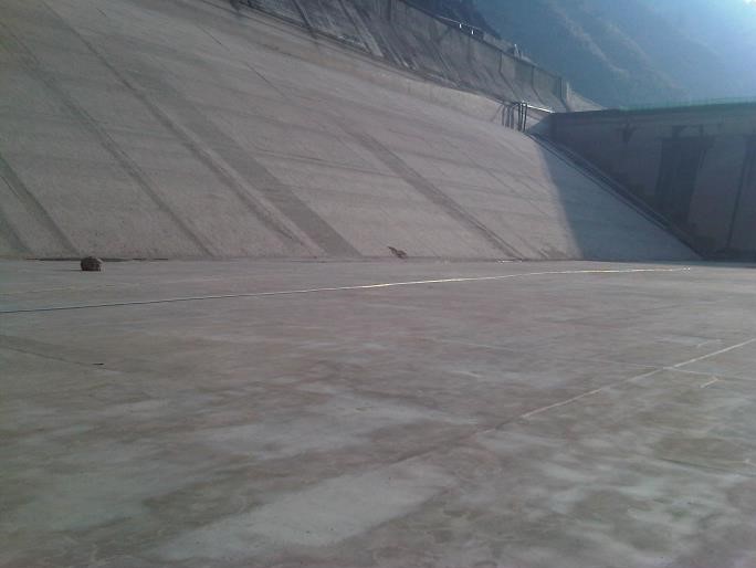 金莎国际网站官网 - welcome