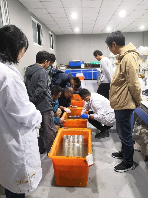 金莎国际网站官网 - welcome