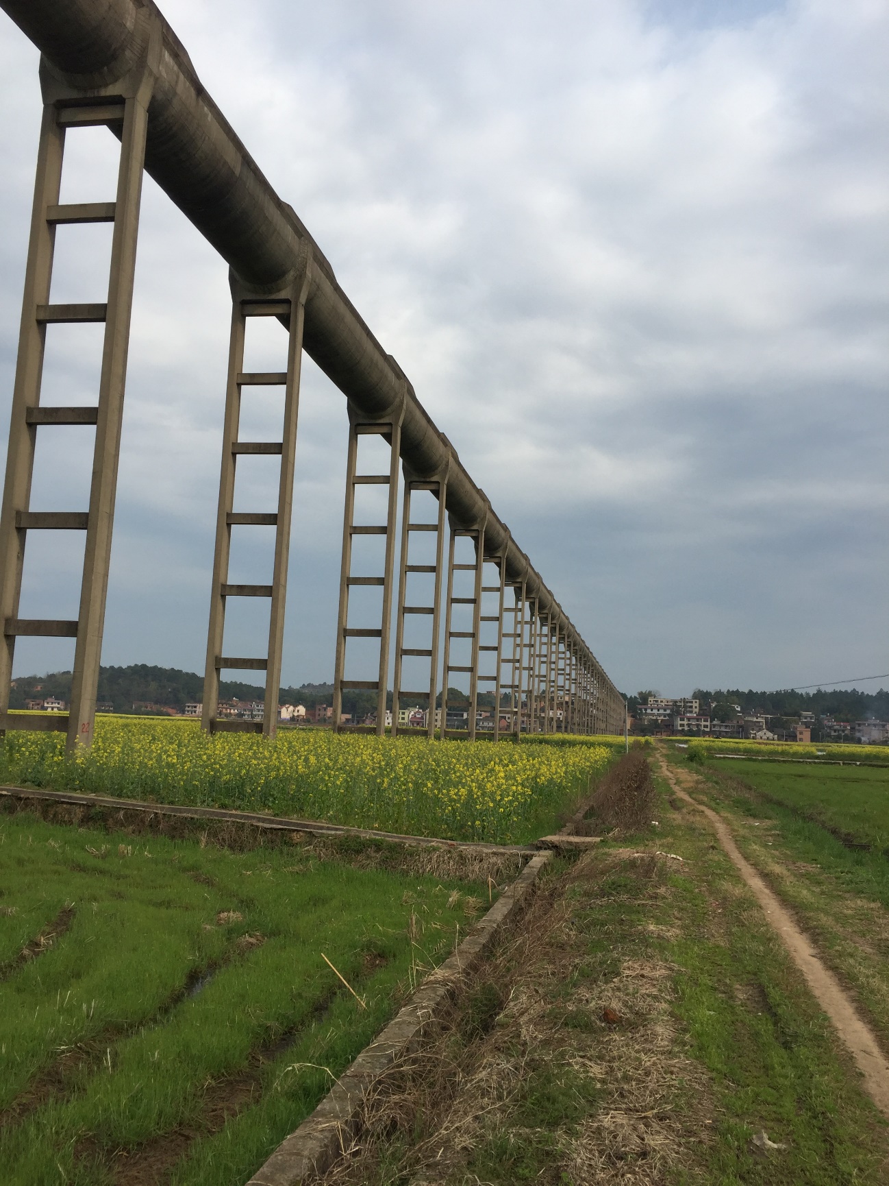 金莎国际网站官网 - welcome