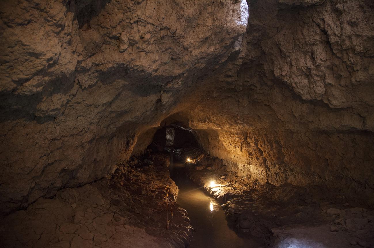 金莎国际网站官网 - welcome