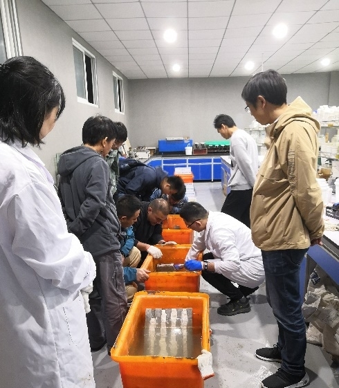 金莎国际网站官网 - welcome