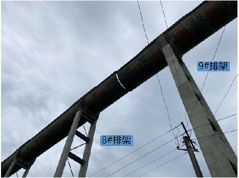 金莎国际网站官网 - welcome